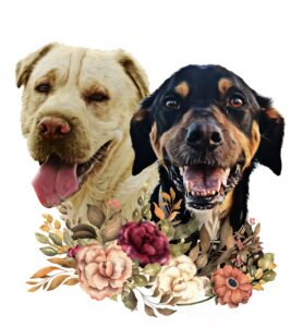 impresión a3 impresión a3